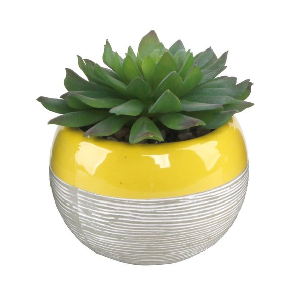 Conservatorio Succulent in Two Tone Lines Pattern Ceramic Pots, Yellow CO2578379